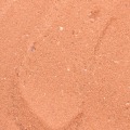Repti sand 5kg rossa - Carmar