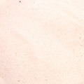Repti sand 5kg bianca - Carmar